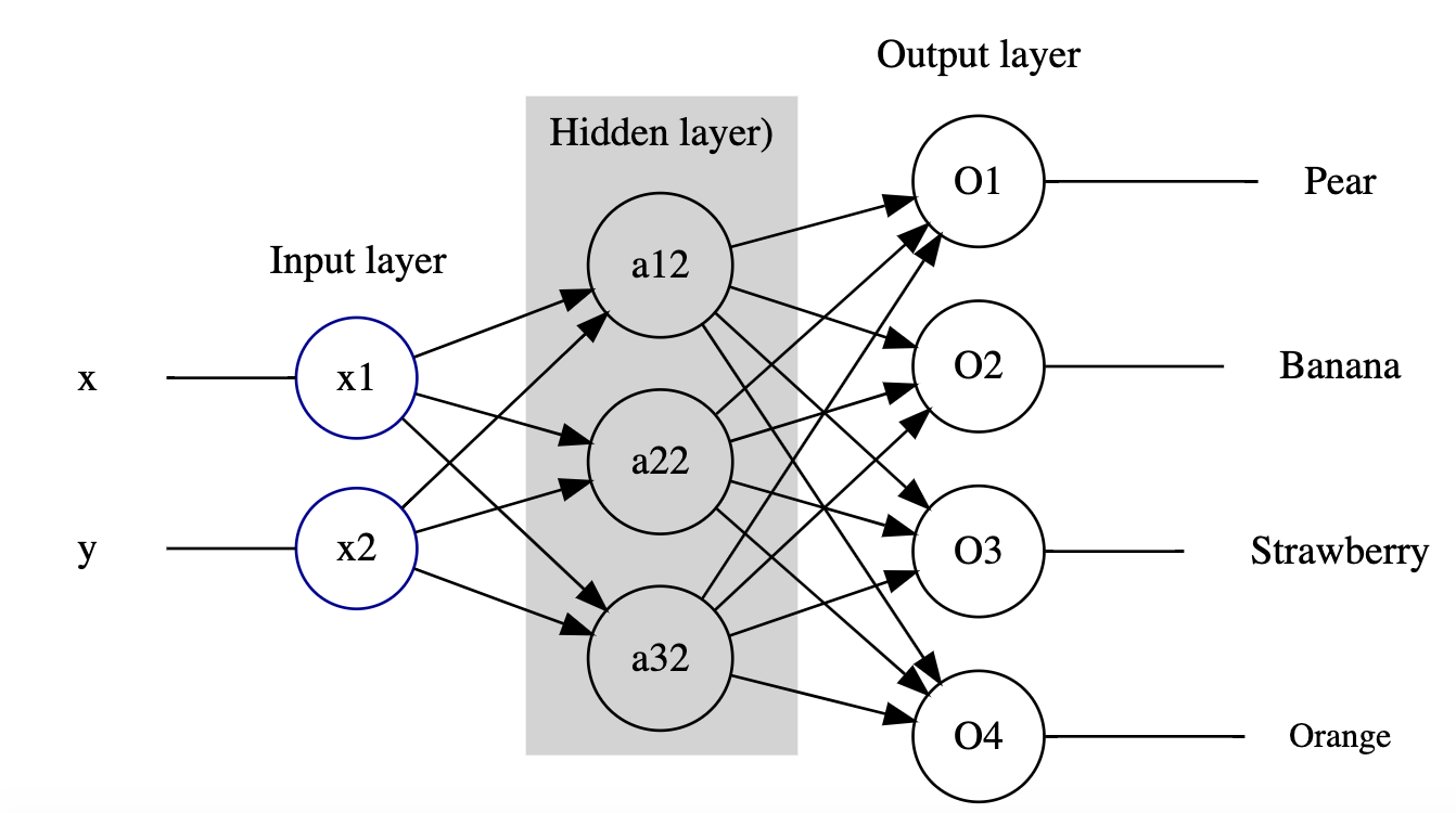 Simple MLP showing x and y inputs connected by a line to their own input layer circle nodes, each input node connected by an arrow to each of three circular hidden input layer nodes, each hidden layer node connected by an arrow to each of four circular output nodes; each output node connected by a line to its own label, ordered as: pear, banana, strawberry, orange