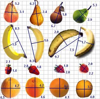 Pictures of various pieces of fruit on a grid showing their long and short axis measurements: pears are medium sized and longer than they are wide; bananas are long and narrow; oranges are medium sized and as wide as they are long; strawberries are small and as wide as they are long.